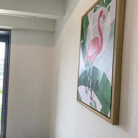 Апартаменти Les Cosy De Nancy - Le Duplex Aux Flammants Roses - 4Etoiles Екстер'єр фото